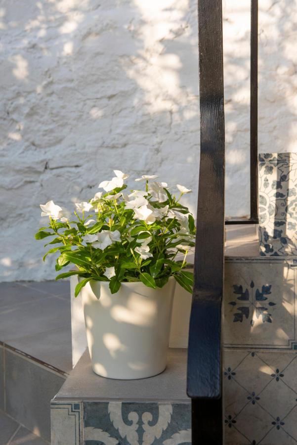 Stunning Home Benamahoma 4 Bed - Sierra Grazalema Buitenkant foto
