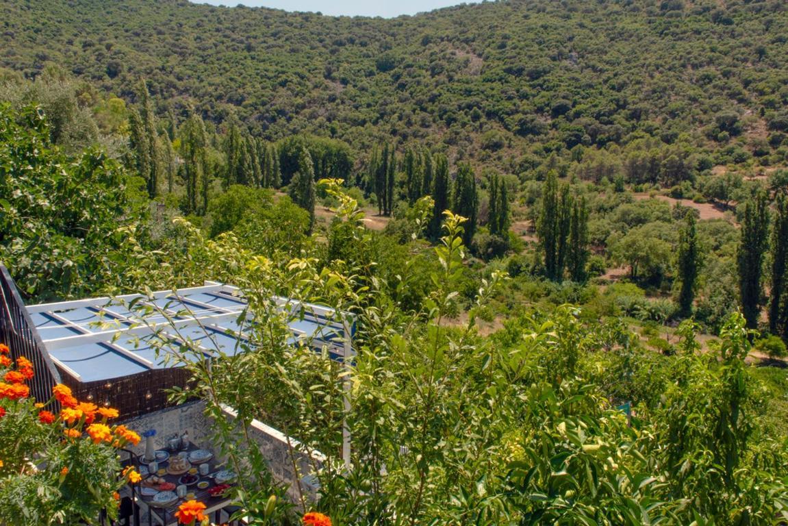 Stunning Home Benamahoma 4 Bed - Sierra Grazalema Buitenkant foto